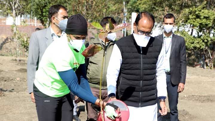 मुख्यमंत्री श्री चौहान ने प्रदेश के पहले एवरेस्ट विजेता के साथ किया पौध-रोपण